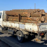 �����������������C���[�W